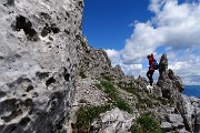 Presolana orientale ad anello con Monte Visolo il 15 luglio 2016- FOTOGALLERY